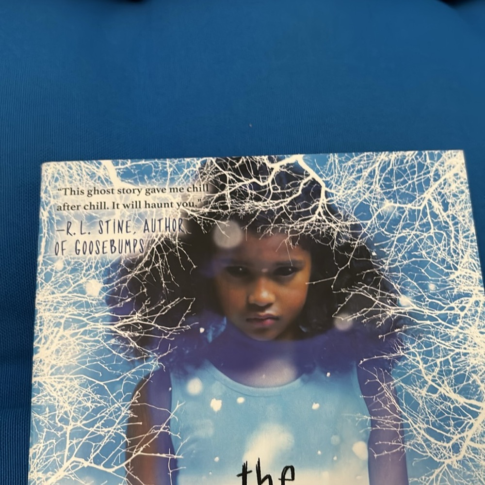 The Forgotten Girl By India Hill Brown Soft Cover Supernatural Ghost Story NWOTS - Picture 4 of 10